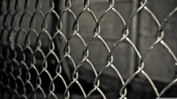 Grid Fence