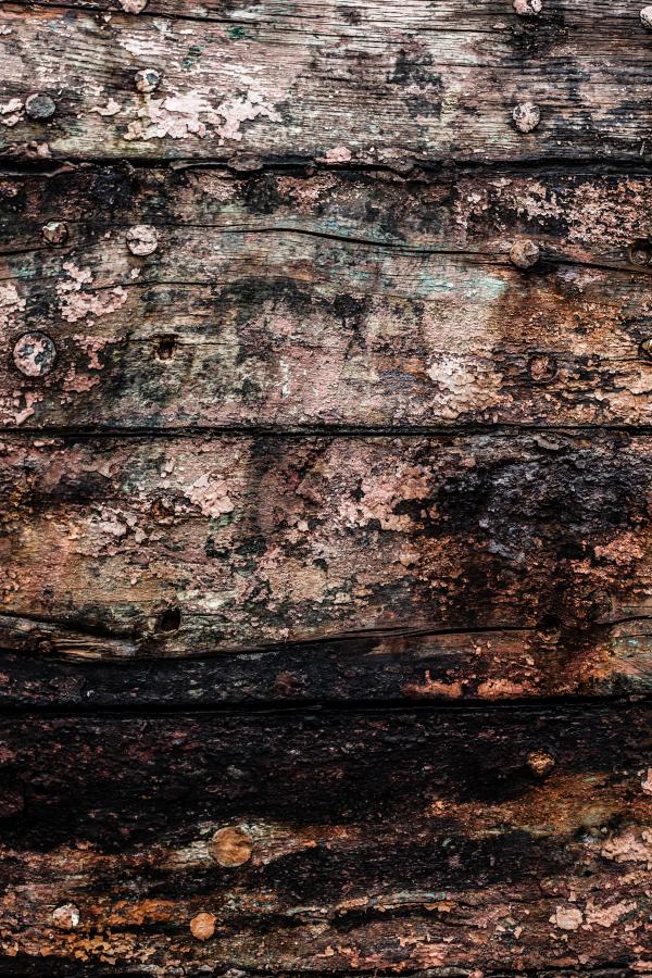 Gritty Wood Texture