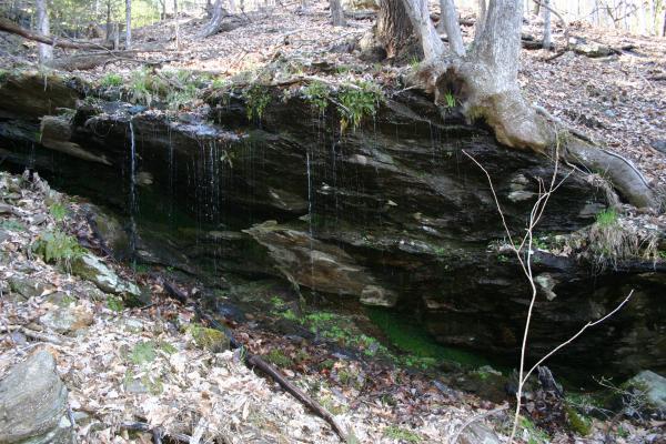 Ground Water Seeping Out