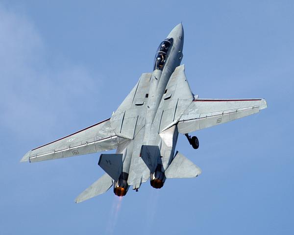 Grumman F-14D "Tomcat"