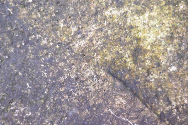 Grunge and rough wall texture