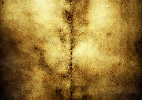 grunge background