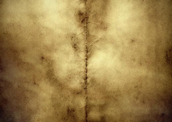 grunge background