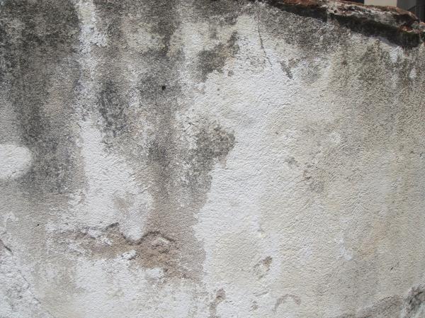 Grunge Concrete Wall