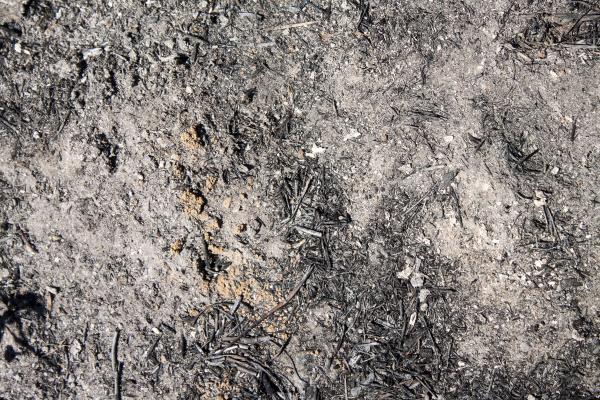 Grunge Dirt Texture
