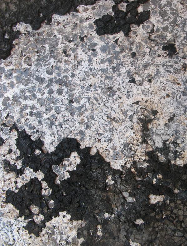 Grunge Metal Texture