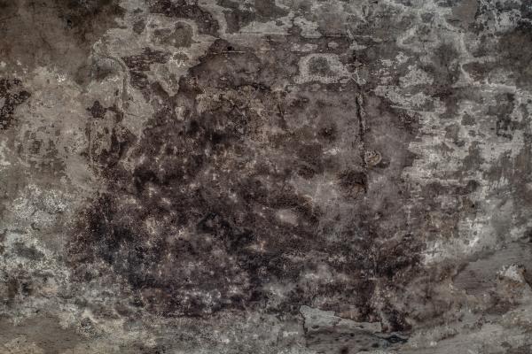 Grunge Moldy Wall Background