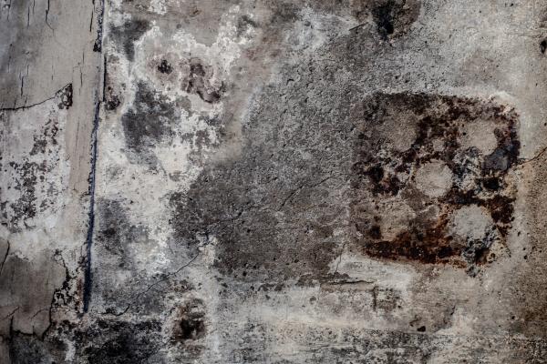 Grunge Moldy Wall Texture