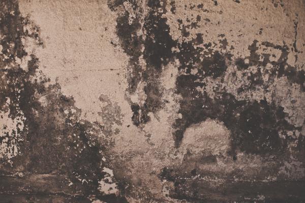 Grunge Peeled Wall