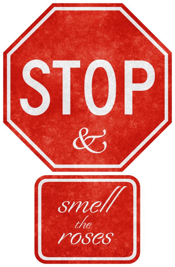 Grunge Road Sign - Stop &amp; Smell the
