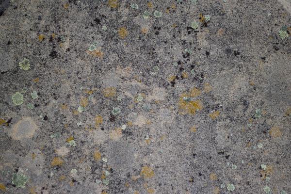 Grunge Rock Texture