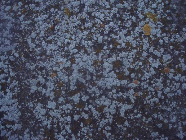 Grunge stone texture