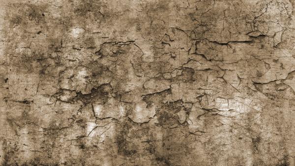 Grunge Wall Texture