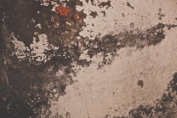 Grunge Wall Peeled Paint Texture