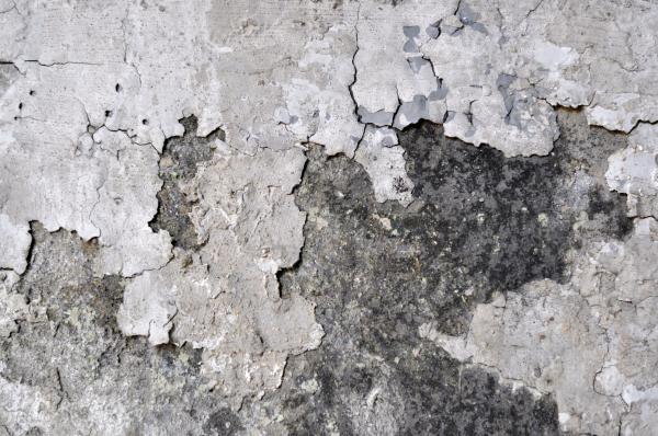 Grunge Wall Texture