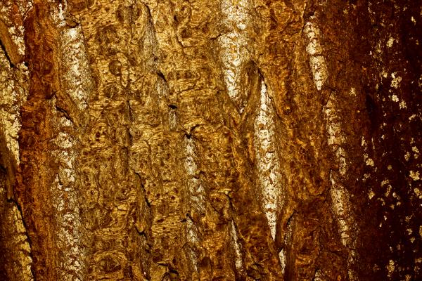 Grunge wood background