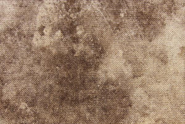 Grunge Wood Texture