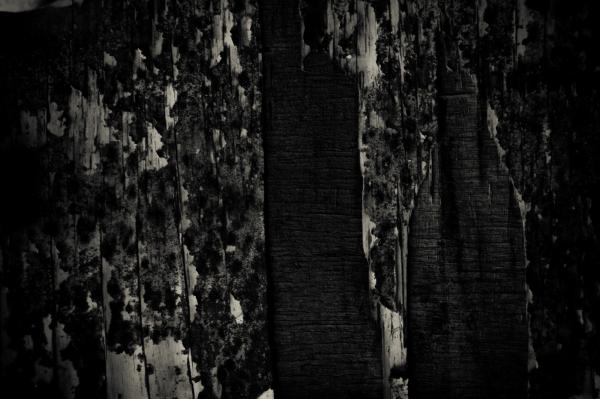 Grunge Wood Texture