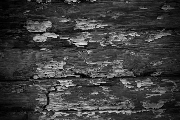 Grunge Wood Texture