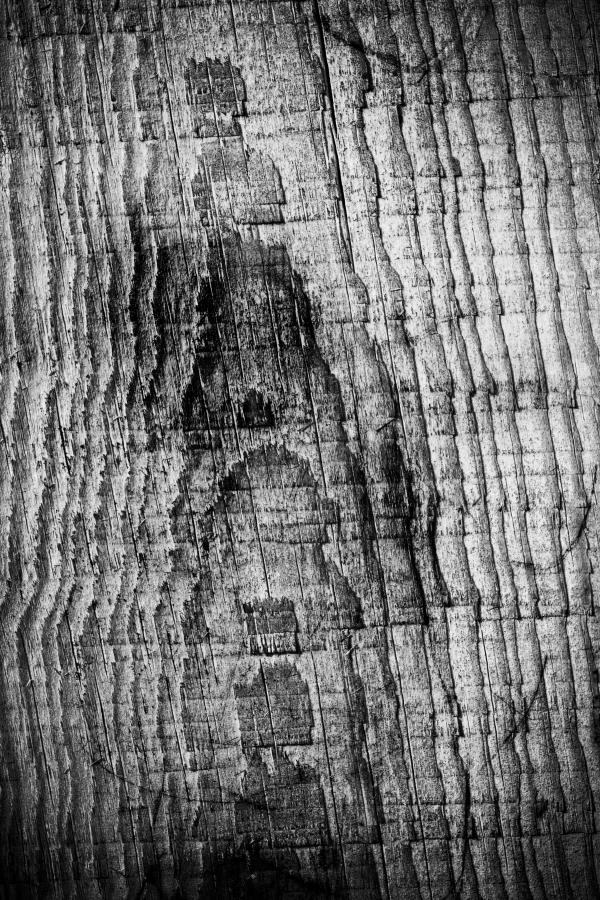 Grunge Wood Texture