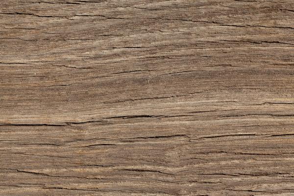 Wooden texture