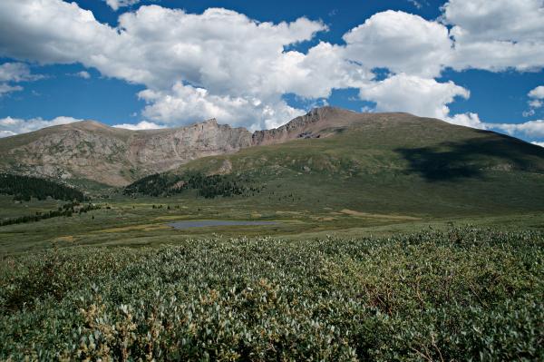 Guanella Pass Mt Bierstadt