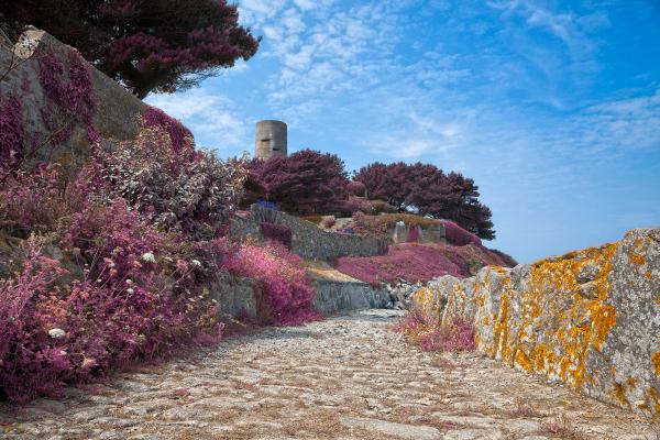 Guernsey Scenery - Violet HDR