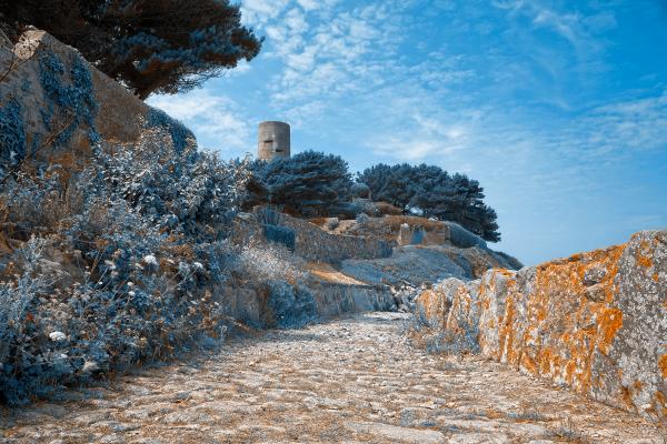 Guernsey Scenery - Winter Blue HDR