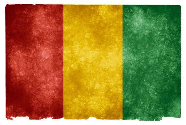 Guinea Grunge Flag