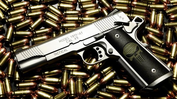 Gun and bullets