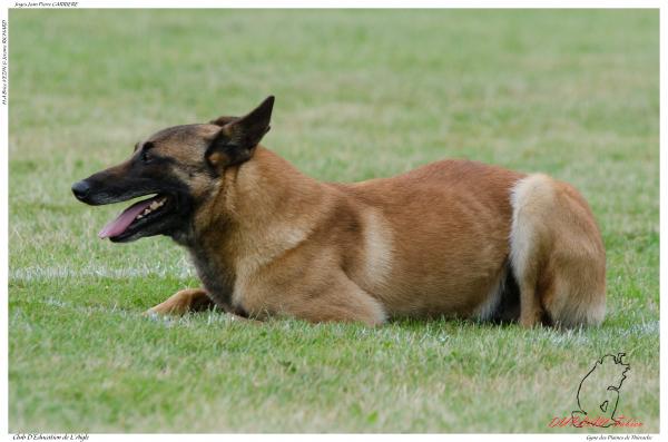 Gyno des Plaines de Thierache LASNE Ph -2913