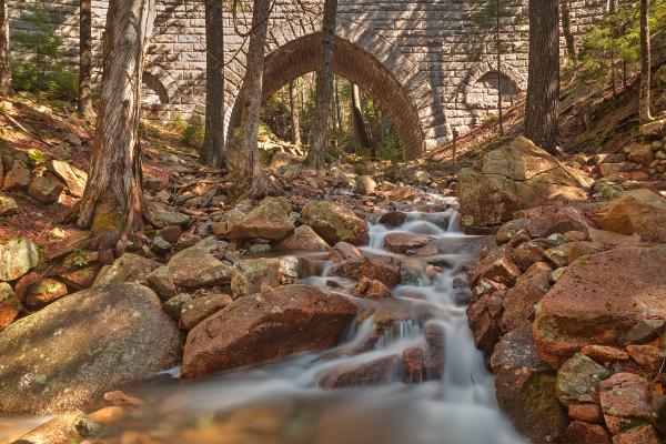 Hadlock Bridge Brook - HDR