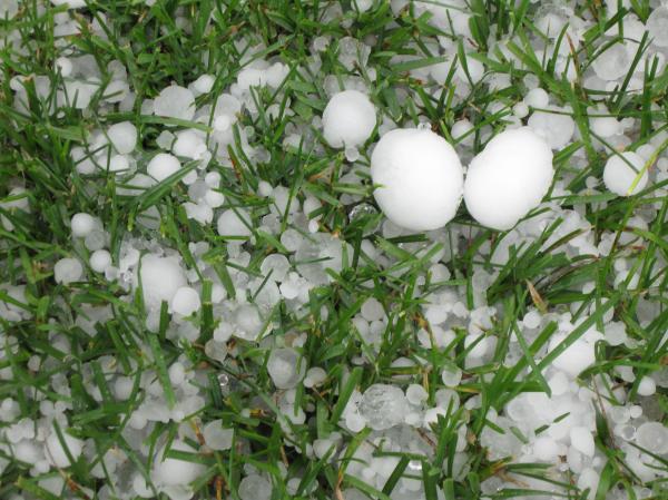 Hail Stones