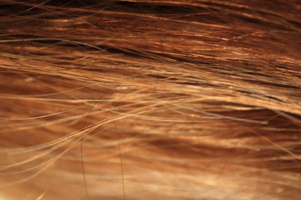 hair