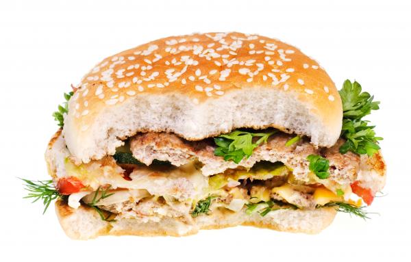 hamburger