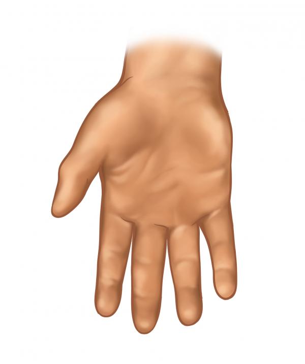 Hand
