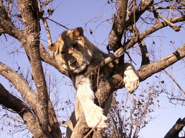 Hanging Around