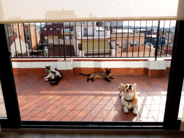 Happiness is a fresh summer morning
