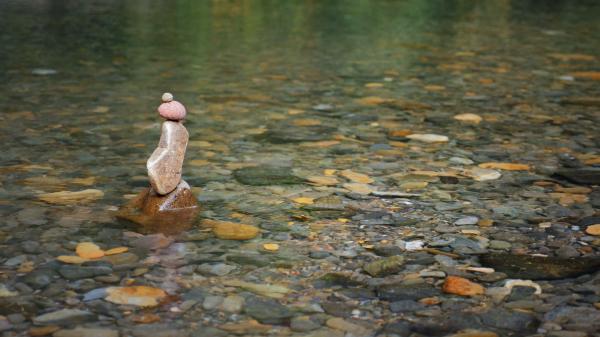 Harmony of Nature