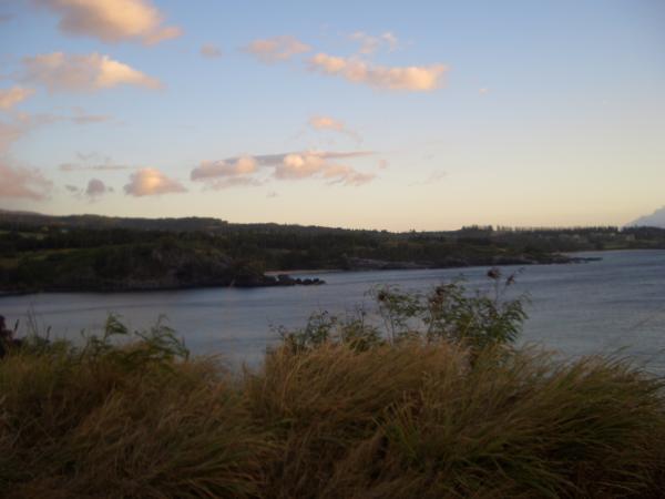 Hawaiian landscape