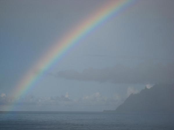 Hawaiian mountainside