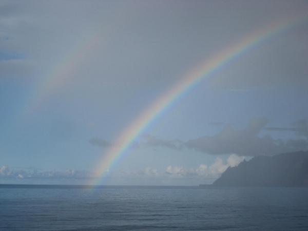 Hawaiin mountainside
