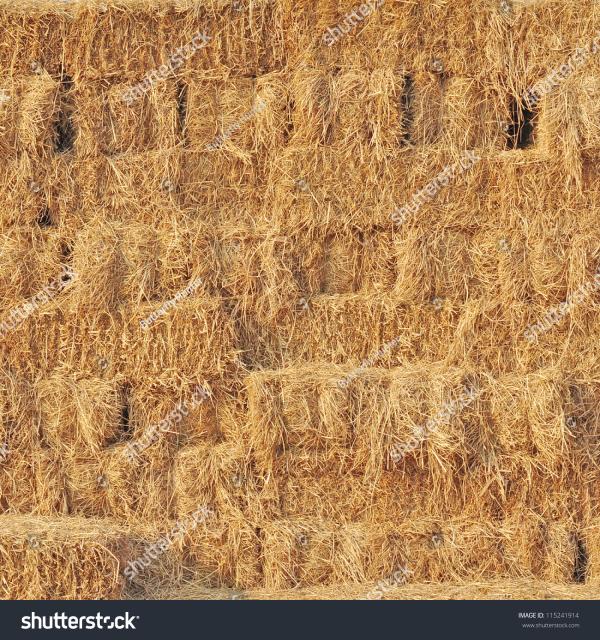 Hay