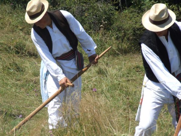 Hay-maker