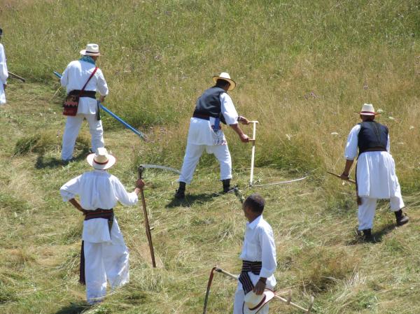 Hay-maker