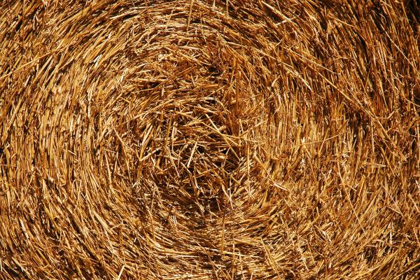 Hayroll