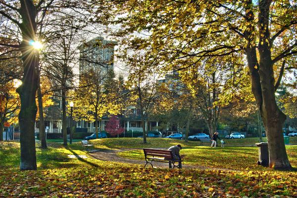 HDR Park