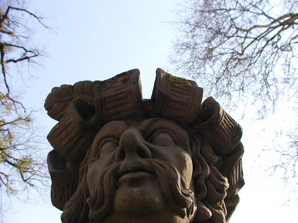 Head