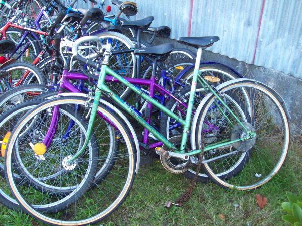 Healing bike - green ladies