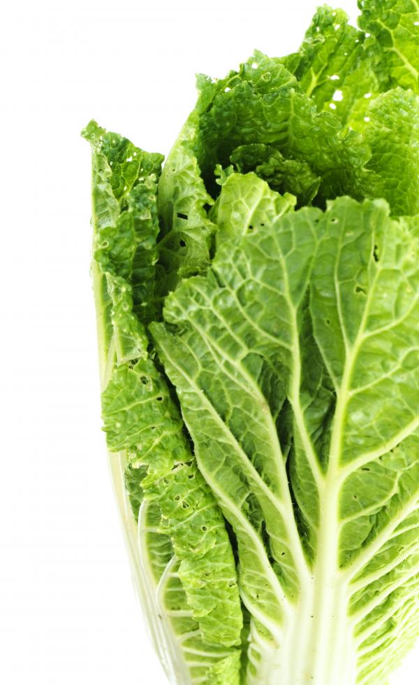 healthy eating